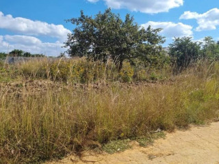 plot-for-sale-in-vorna-valley