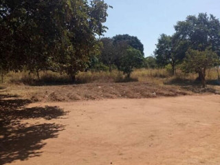 5 Acre Land For Sale in New Kasama