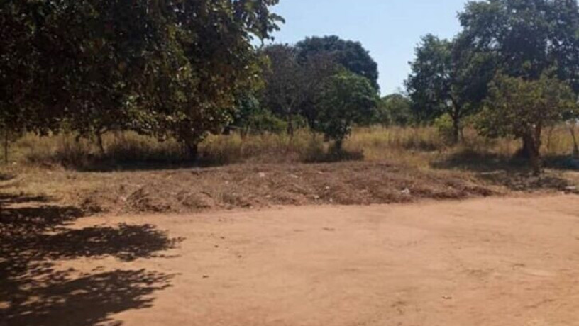 5-acre-land-for-sale-in-new-kasama-big-0