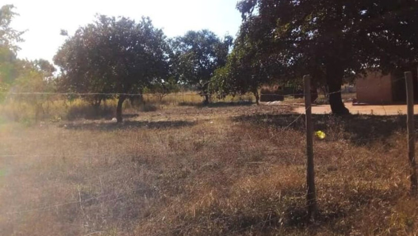 5-acre-land-for-sale-in-new-kasama-big-4