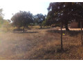 5-acre-land-for-sale-in-new-kasama-small-4