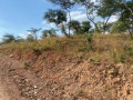 plot-for-sale-in-njolwe-small-0