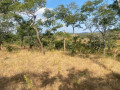 plot-for-sale-in-njolwe-small-1