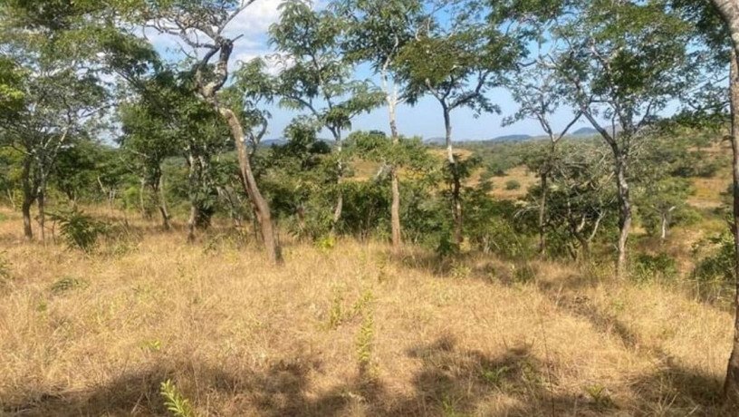 plot-for-sale-in-njolwe-big-1