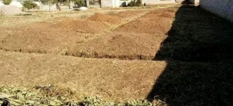 plot-for-sale-in-lilayi-big-0