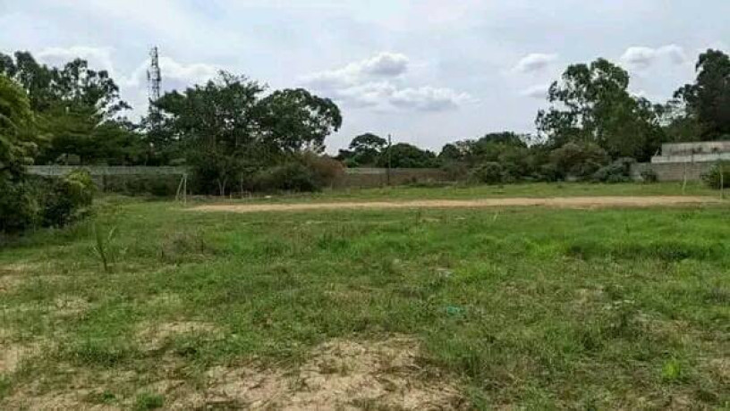 1-acre-plot-for-sale-in-kabulonga-big-0