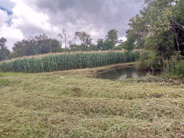 property-for-sale-in-solwezi-big-9