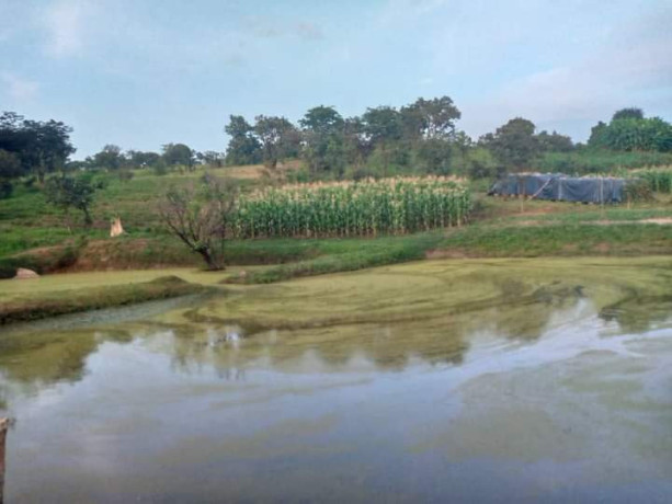 property-for-sale-in-solwezi-big-1