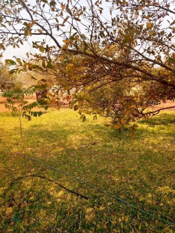 4-bedroom-house-for-sale-in-livingstone-big-2