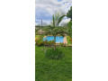 luxurious-4-bedroom-house-in-livingstone-small-2
