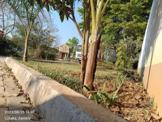 modern-2-by-4-bedroom-flats-for-sale-in-ibex-hill-main