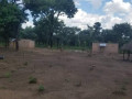 76-hectares-farm-land-for-sale-in-masaiti-small-1