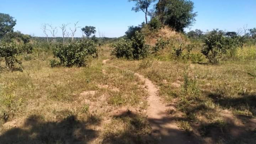 76-hectares-farm-land-for-sale-in-masaiti-big-4