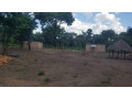 76-hectares-farm-land-for-sale-in-masaiti-small-1