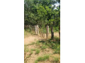 76-hectares-farm-land-for-sale-in-masaiti-small-3
