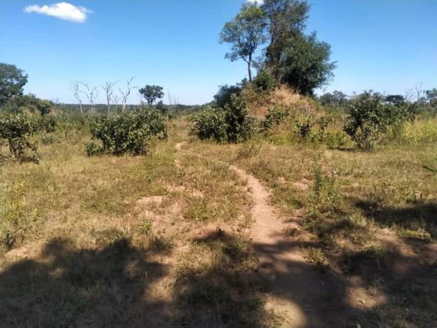 76-hectares-farm-land-for-sale-in-masaiti-big-4