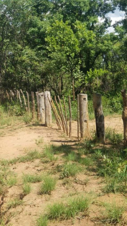 76-hectares-farm-land-for-sale-in-masaiti-big-3