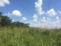 1324-hectares-farm-land-for-sale-in-ndola-small-2