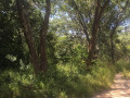 1324-hectares-farm-land-for-sale-in-ndola-small-4