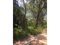 1324-hectares-farm-land-for-sale-in-ndola-small-4