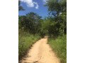 1324-hectares-farm-land-for-sale-in-ndola-small-5