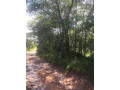 1324-hectares-farm-land-for-sale-in-ndola-small-3