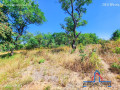 71-acre-plot-for-sale-in-bonanza-small-2