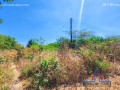 71-acre-plot-for-sale-in-bonanza-small-3