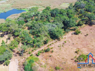 7.1 Acre Plot For Sale In Bonanza