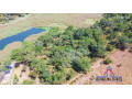 71-acre-plot-for-sale-in-bonanza-small-6