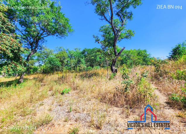 71-acre-plot-for-sale-in-bonanza-big-2