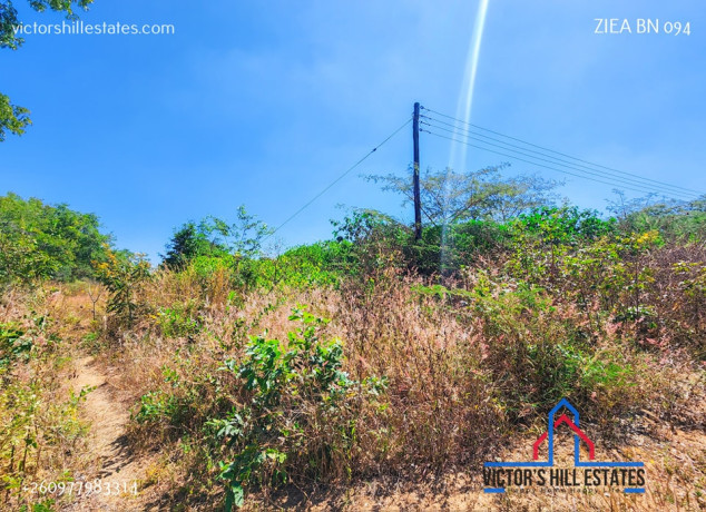71-acre-plot-for-sale-in-bonanza-big-3