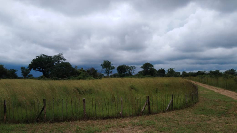 10-acres-of-land-for-sale-in-ngwerere-ring-road-big-1