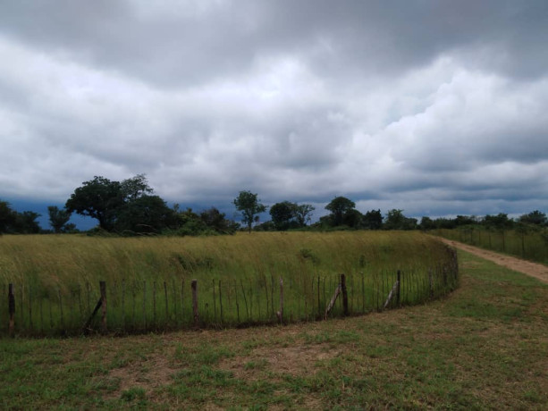 10-acres-of-land-for-sale-in-ngwerere-ring-road-big-1