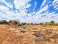 plots-for-sale-in-chilanga-small-3