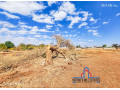 plots-for-sale-in-chilanga-small-1