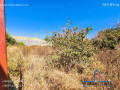 plot-for-sale-in-chalala-small-2