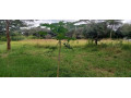 plot-for-sale-in-state-lodge-small-3