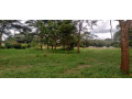 plot-for-sale-in-state-lodge-small-1