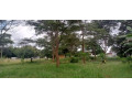 plot-for-sale-in-state-lodge-small-2