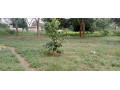 plot-for-sale-in-state-lodge-small-0