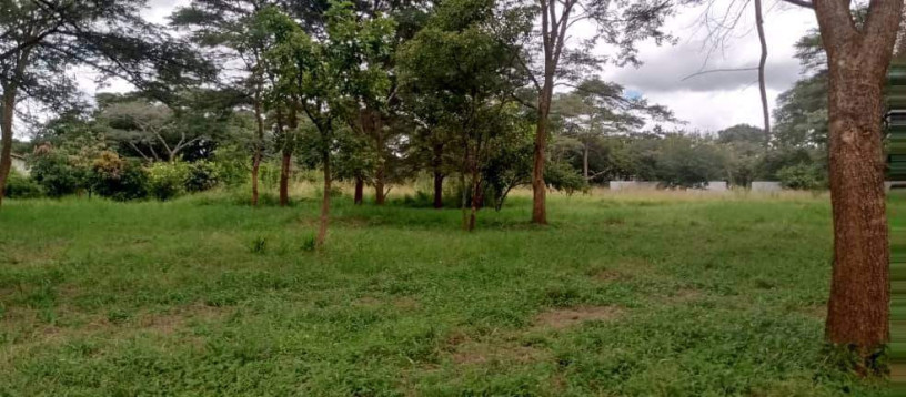plot-for-sale-in-state-lodge-big-1