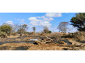 3-plots-for-sale-in-ibex-meanwood-small-3