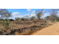 3-plots-for-sale-in-ibex-meanwood-small-0