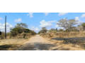 3-plots-for-sale-in-ibex-meanwood-small-7