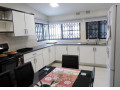 3-bedroom-house-for-rent-in-jesmondine-small-4