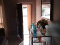 2-bedroom-flat-for-rent-in-libala-south-small-6