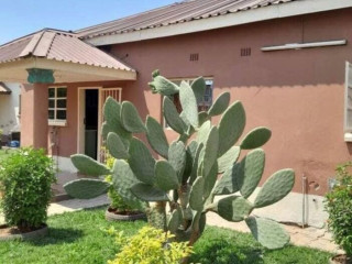 2-bedroom-flat-for-rent-in-chamba-valley