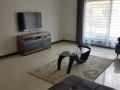 semi-furnished-3-bedroom-flat-for-rent-in-roma-small-3