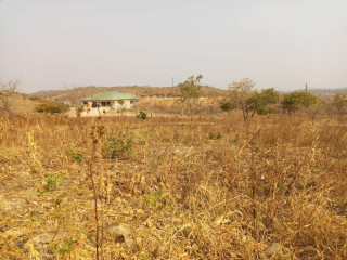 1 Acre Plot For Sale In Silverest